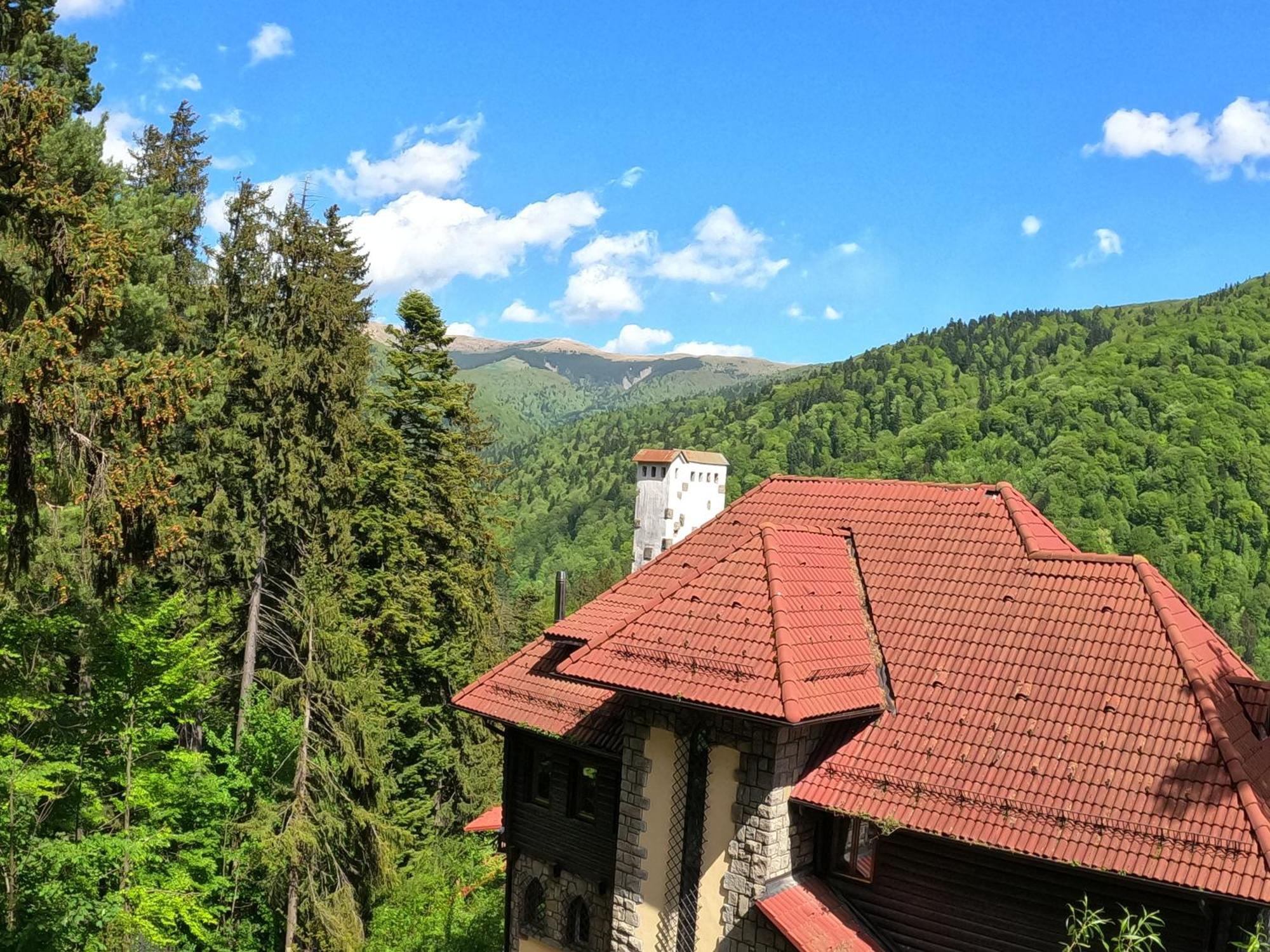 Hotel Casa Adina Sinaia Zewnętrze zdjęcie