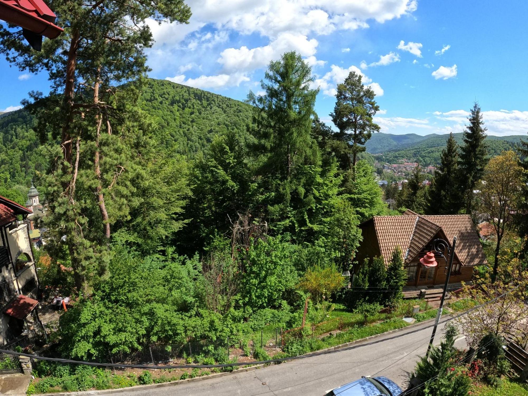 Hotel Casa Adina Sinaia Zewnętrze zdjęcie