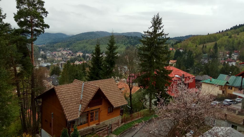 Hotel Casa Adina Sinaia Zewnętrze zdjęcie