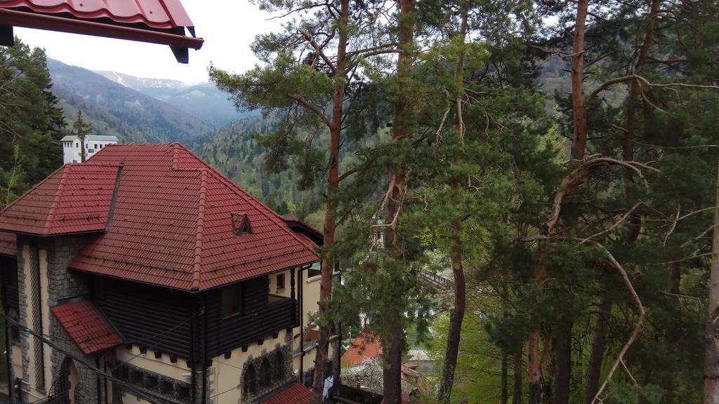 Hotel Casa Adina Sinaia Zewnętrze zdjęcie