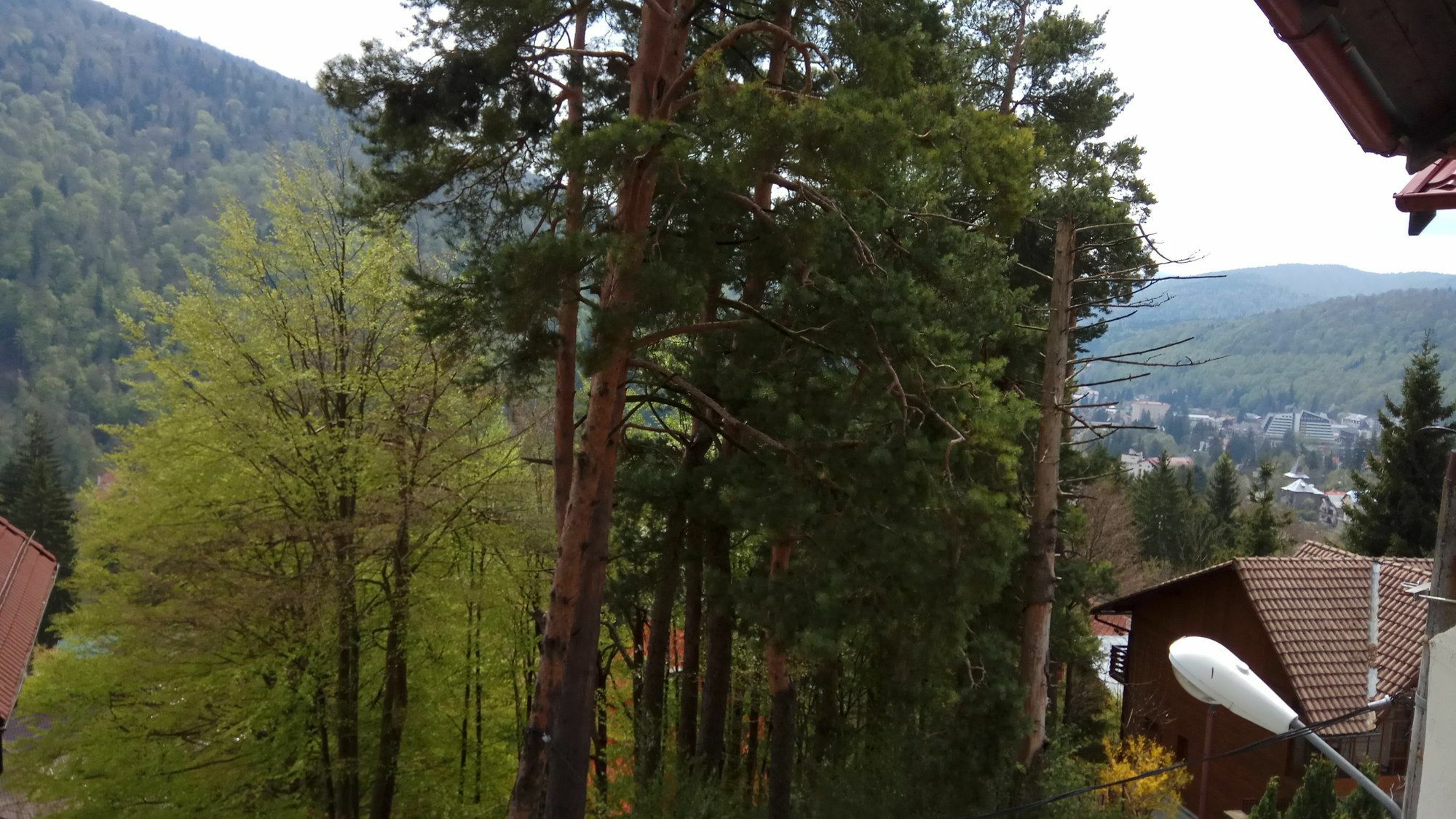 Hotel Casa Adina Sinaia Zewnętrze zdjęcie
